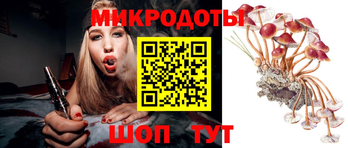 Омск  Галлюциногенные грибы Psilocybe  Вход с VPN  Псилоцибиновые грибы Psilocybine cubensis 